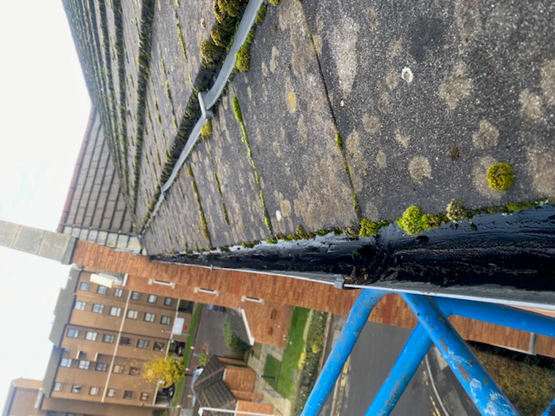 Gutter cleaning example 4